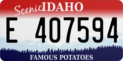 ID license plate E407594