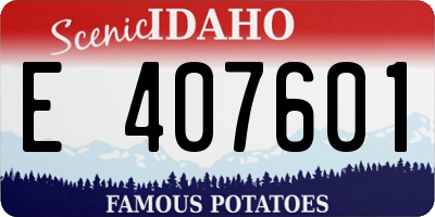 ID license plate E407601