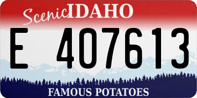 ID license plate E407613