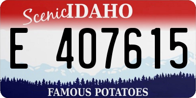 ID license plate E407615