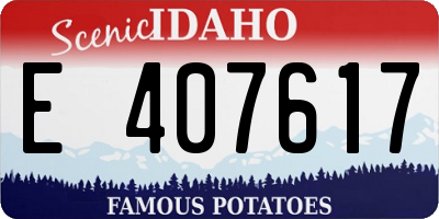 ID license plate E407617