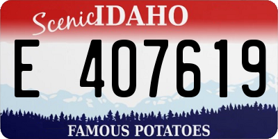 ID license plate E407619