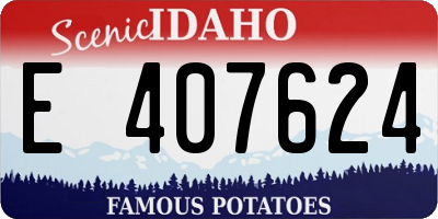ID license plate E407624