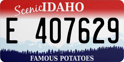 ID license plate E407629