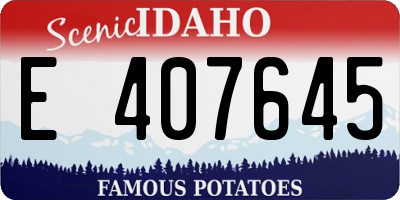 ID license plate E407645