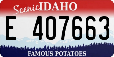 ID license plate E407663