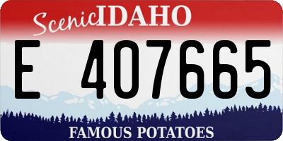 ID license plate E407665