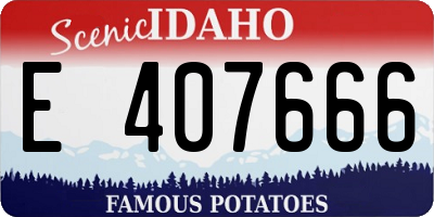 ID license plate E407666