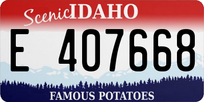 ID license plate E407668