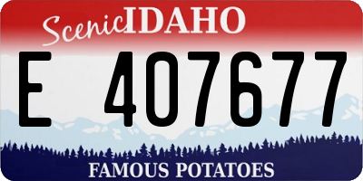 ID license plate E407677