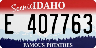 ID license plate E407763