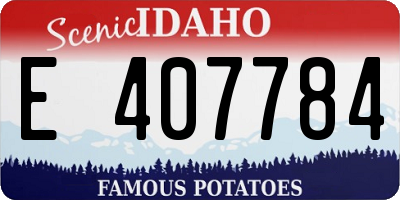 ID license plate E407784