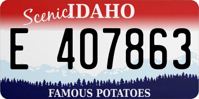 ID license plate E407863