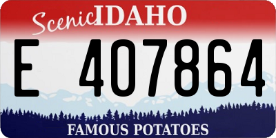 ID license plate E407864
