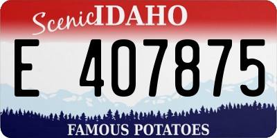 ID license plate E407875