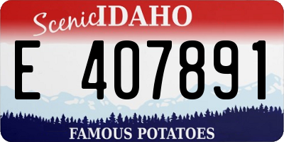 ID license plate E407891