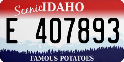ID license plate E407893