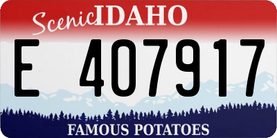ID license plate E407917