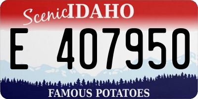 ID license plate E407950
