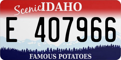 ID license plate E407966