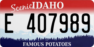 ID license plate E407989