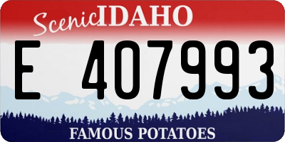 ID license plate E407993