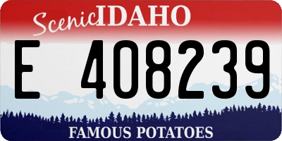 ID license plate E408239