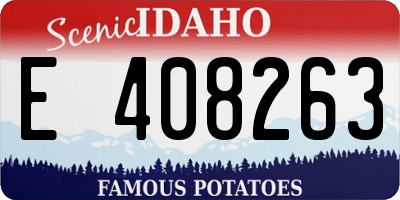 ID license plate E408263