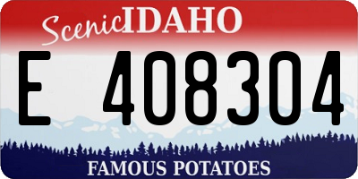 ID license plate E408304