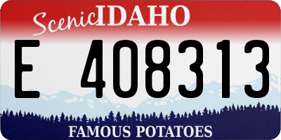 ID license plate E408313