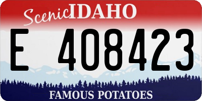 ID license plate E408423