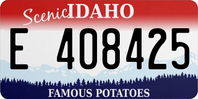 ID license plate E408425
