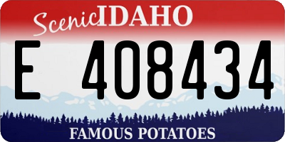 ID license plate E408434