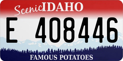 ID license plate E408446