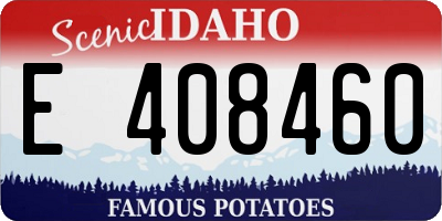 ID license plate E408460