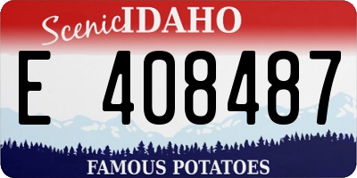 ID license plate E408487