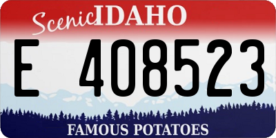 ID license plate E408523