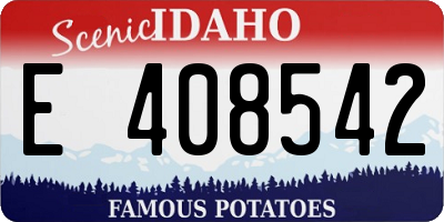 ID license plate E408542