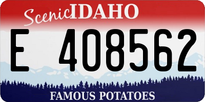 ID license plate E408562