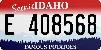 ID license plate E408568