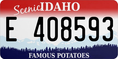 ID license plate E408593