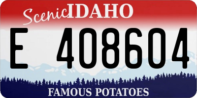 ID license plate E408604
