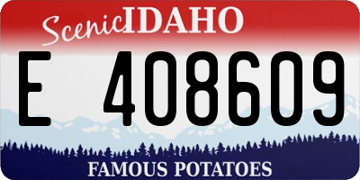 ID license plate E408609