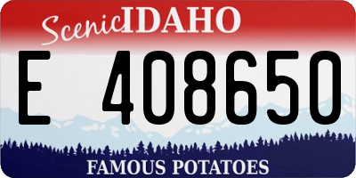 ID license plate E408650