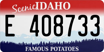 ID license plate E408733