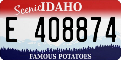 ID license plate E408874
