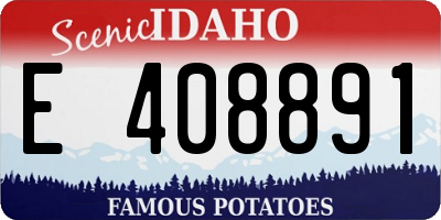 ID license plate E408891