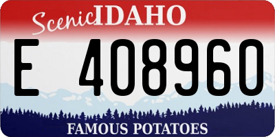 ID license plate E408960