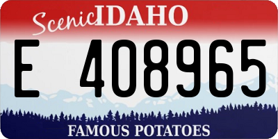 ID license plate E408965