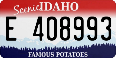 ID license plate E408993